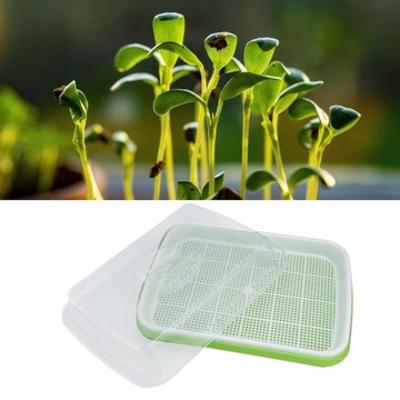 KIEŁKOWNICA KIEŁKOWNIK NACZYNIE NA KIEŁKI 2 SZT