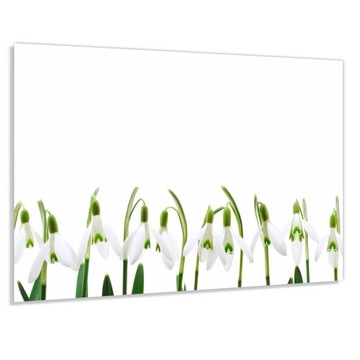 Panel szklany hartowany 60x40 Przebiśniegi + KLEJ