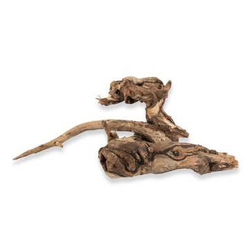 Biorain Roots Natural Tropical Croot Driftwood для террариума M 20-30 см.