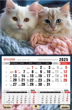 Kalendarz ścienny 2025 JEDNODZIELNY 3m-ce/str KOTY KOTKI