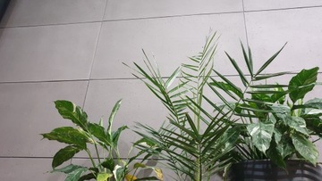 АРХИТЕКТУРНЫЙ ГИБКИЙ БЕТОН b10 шт.