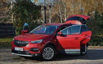 Opel 2018 Opel Grandland X GWARANCJA, 2018r, Benzyna, Automat, Niski przebieg, Dobre, zdjęcie 21