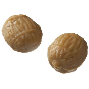 SZTUCZNE ORZECHY TYGRYSIE CORMORAN TIGERNUTS DUMNY TONĄCE