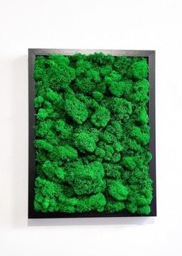 Panel obraz MECH CHROBOTEK 40 X 30 CM