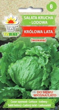 Sałata krucha - lodowa Królowa Lata - 1g TORAF