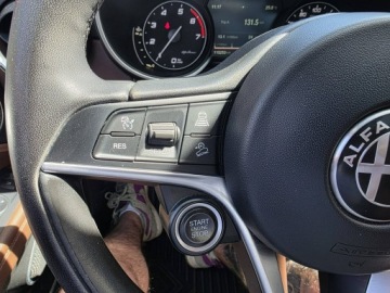 Alfa Romeo Stelvio SUV 2.0 Turbo 280KM 2018 Alfa Romeo Stelvio Q4 2.0 Turbo 280 KM, Panorama,, zdjęcie 13
