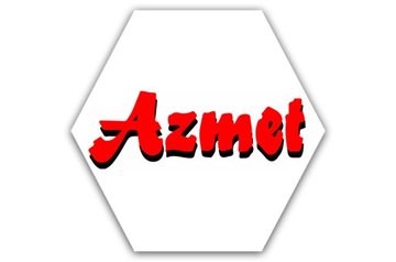 СТОЛЯНЫЕ ВИНТЫ ПО ДЕРЕВО 6x220 КОНИЧЕСКИЕ TORX 100 шт WCS-06220 AZMET