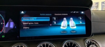 Mercedes CLS C257 Coupe Facelifting 2.0 300d 265KM 2021 Mercedes-Benz CLS CLS 300d 4MATIC AMG BURMESTER Widescreen Skora Kamer, zdjęcie 18