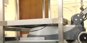 Поломоечная машина Numatic NLL 332 LoLine AGILITY, однодисковое устройство 13 дюймов, маленькая