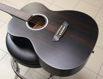 Washburn Deep Forest Ebony FE (фолк) - новинка!