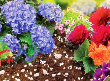 Агро Перлит биовита Натуральная добавка для рыхления почвы 2-6мм 1л