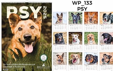 МУЛЬТИДОСОЧНЫЙ КАЛЕНДАРЬ 2025 БОЛЬШАЯ СТЕНА 13 ДОСОК КОФЕ