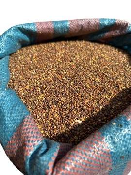 Масляная редька 25 кг