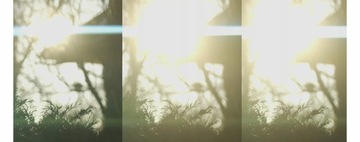 Filtr GLOW MIST 1/4 FREEWELL dla DJI Mavic 3 Pro