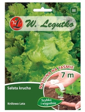 SAŁATA KRUCHA KRÓLOWA LATA NA TAŚMIE 3 x 2,33 m 'L