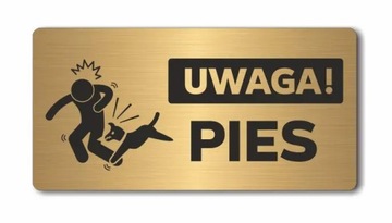 UWAGA! PIES B | Tabliczka informacyjna, nierdzewna ZŁOTA| Druk UV na płycie