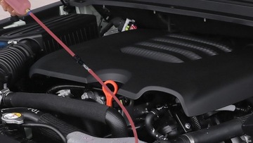 ODSYSARKA WYSYSARKA STRZYKAWKA POMPKA DO OLEJU PŁYNÓW PŁYNU CIECZY 200ML