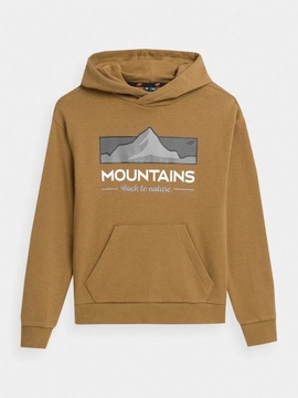 СВИТШОТ С КАПЮШОНОМ 4F ДЛЯ МАЛЬЧИКОВ AW23M634