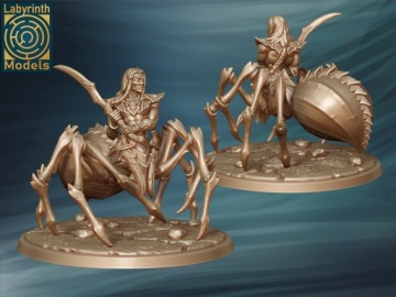 Благословенный чемпион темных эльфов - Labyrinth Models