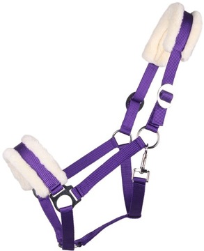 Недоуздок QHP для лошади Cali PONY, фиолетовый