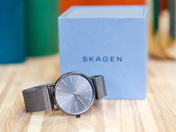 MĘSKI ZEGAREK SKAGEN SKW6577 SIGNATUR DENMARK MESH