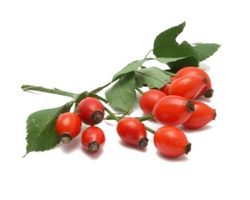 EQUIHERBS, Zioła dla koni - DZIKA RÓŻA, 1 kg