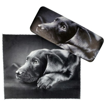 Dog etui futerał okulary korekcyjne z mikrofazą DE