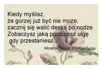 Magnes na lodówkę cytat Forrest Gump Winston Groom