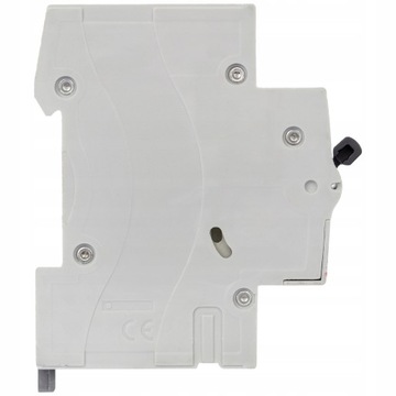 Предохранитель максимального тока LEGRAND RX3 25A 419237 3P3F