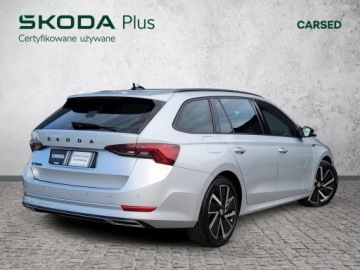 Skoda Octavia IV Kombi 2.0 TDI 150KM 2023 Skoda Octavia Sportline 2.0 TDI 150 KM DSG Serwiso, zdjęcie 4