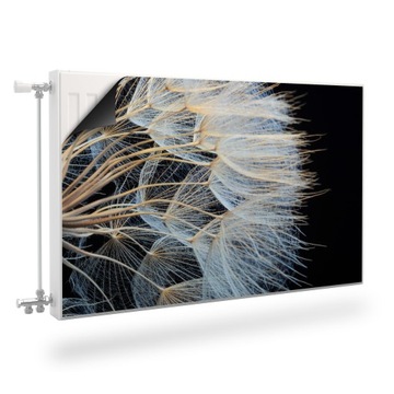 Mata MAGNETYCZNA Nasiona Dmuchawca Efekt 3D 80x60