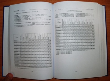 ФУТБОЛЬНАЯ ИСТОРИЯ ПОБЕРЕЖЬЯ 1991-2005 гг.