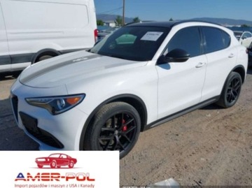Alfa Romeo Stelvio SUV 2.0 Turbo 280KM 2019 Alfa Romeo Stelvio 2019 ALFA ROMEO STELVIO TI SPORT AWD 2.0 Benzyna 280KM