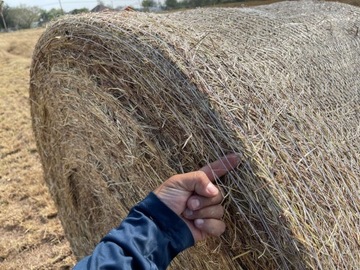 Siatka do owijania bel EFFI+ 123/3000 do sianokiszonki, słomy, siana DILER