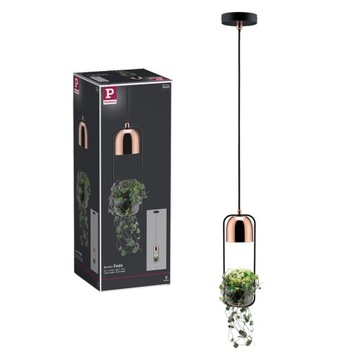 Lampa wisząca z doniczką NEORDIC FANJA GU10 max.1x20W 230V czarny / miedzia