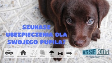 MWMR Куртка для собак 5XL графитово-красная