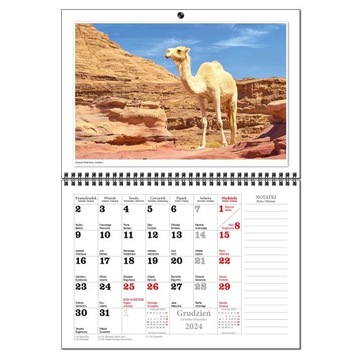 Календарь 2024 настенный планировщик А3 13 досок TRAVEL