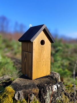 СКВОРОТКА - ЦВЕТНАЯ КРЫША, высота 30 см