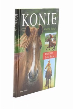 Konie Soldi