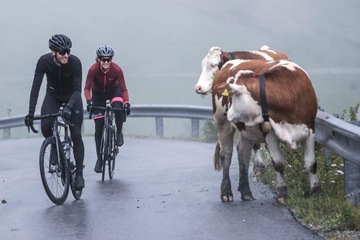 Мужская велосипедная толстовка ROGELLI ESSENTIAL L