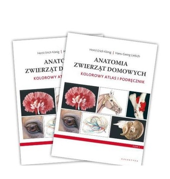 ANATOMIA ZWIERZĄT DOMOWYCH. KOLOROWY ATLAS - Hans-