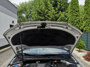 Audi A3 8P Hatchback 3d 1.9 TDI 105KM 2007 Audi A3 1.9 TDI 105KM Klima Elektryka Po wymianie, zdjęcie 20