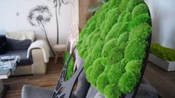 Подушка из мха 