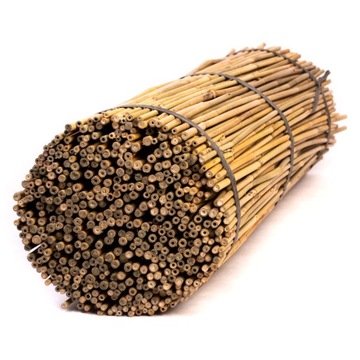 Tyczki bambusowe - 90cm - 10/12mm - 100 sztuk