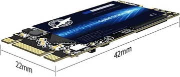 Dogfish M.2 2242 Ssd 250 Gb Ngff Internal Solid