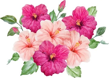 Różowe kwiatowe naklejki z hibiskusami dla dzieci na ścianę KWIATY