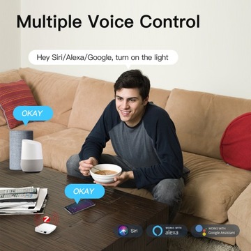 Центральный проводной шлюз HomeKit Zigbee