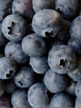 КАРТОН ЛУБЯНКА 1КГ для клубники MY FRUIT (упаковка 10 шт.)