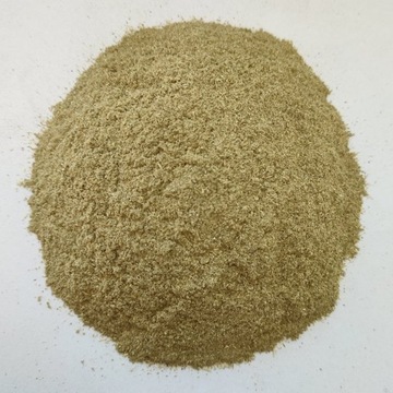 Bylica piołun mielona Artemisia absinthium 50 g