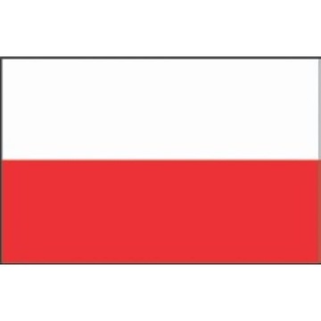 BANDERA POLSKI 20X30 CM